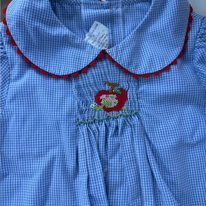 Vintage 100% Cotton Blue Gingham Dress with Apple Embroidery